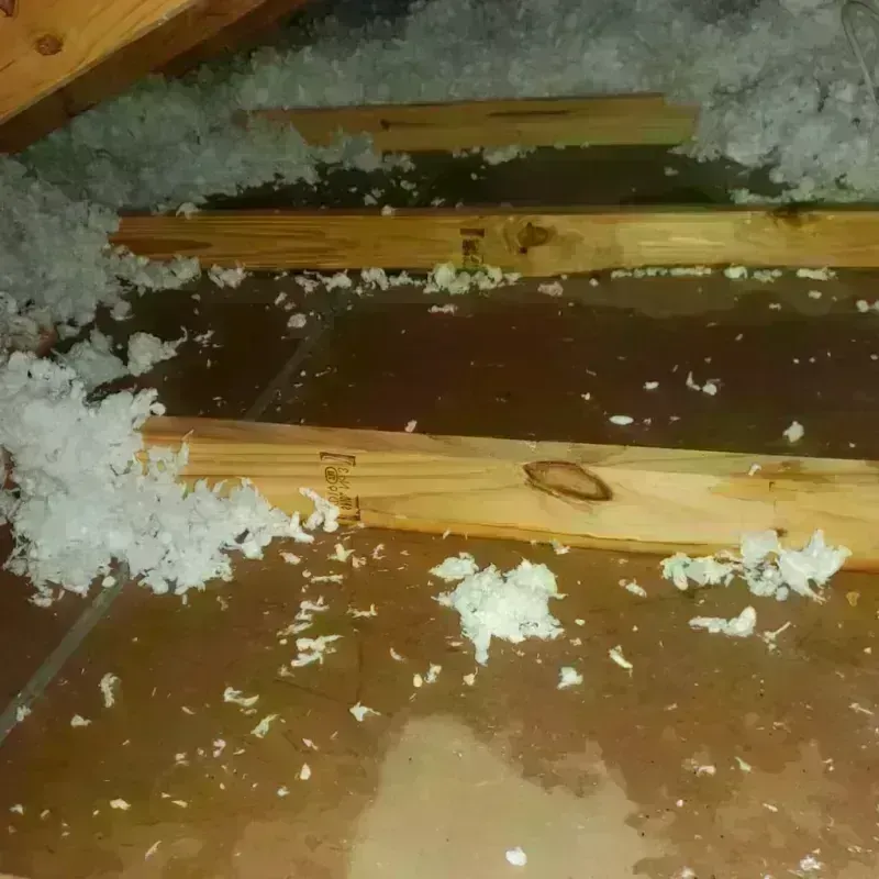 Attic Water Damage in Kankakee County, IL