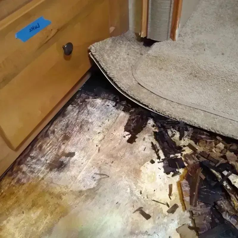 Wood Floor Water Damage in Kankakee County, IL